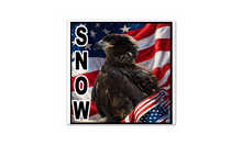Wildside Rehab & Educ Center Eaglet Snow Misc Design Magnet ** Free Shipping