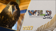 Wildside Rehab & Education Center ❄️ LIMITED EDITION — SNOW 2027 CALENDAR PRESALE ❄️ Free Shipping