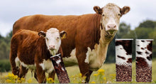 Cow Print 20oz Skinny Tumbler *Free Shipping**
